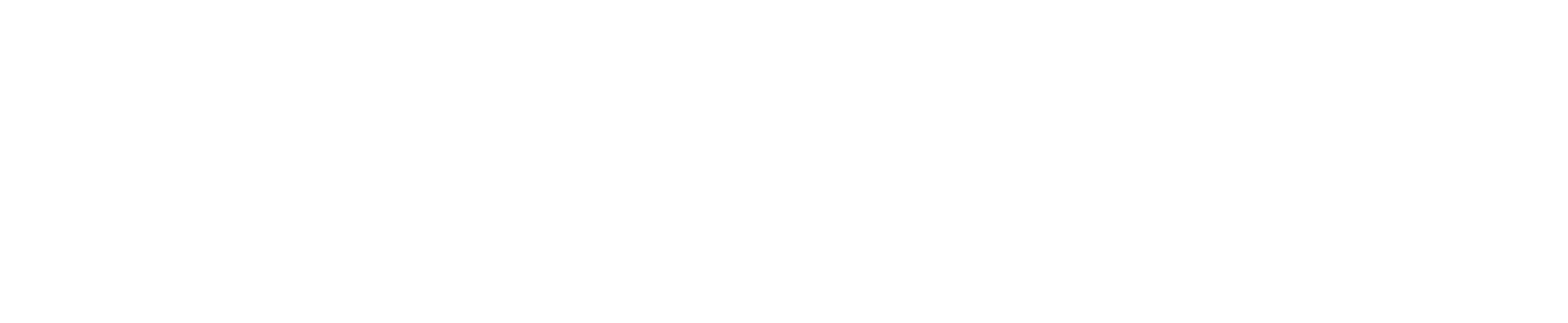 HNL Connect White Logo